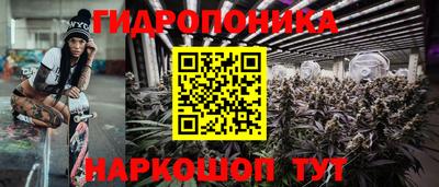гидра Рыбинск