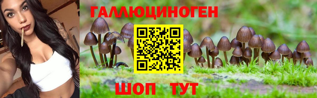 Псилоцибиновые грибы Psilocybe  Вход с VPN  Южно-Сахалинск 