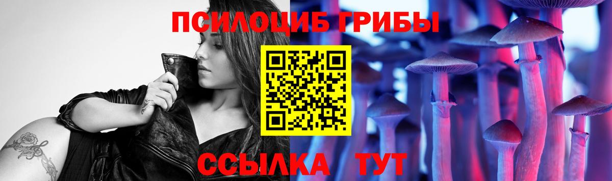 Псилоцибиновые грибы Psilocybine cubensis Южно-Сахалинск